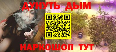 амф Дубна