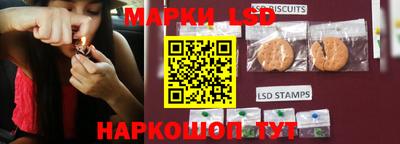 гашик Донецк