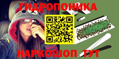 амф Дубна