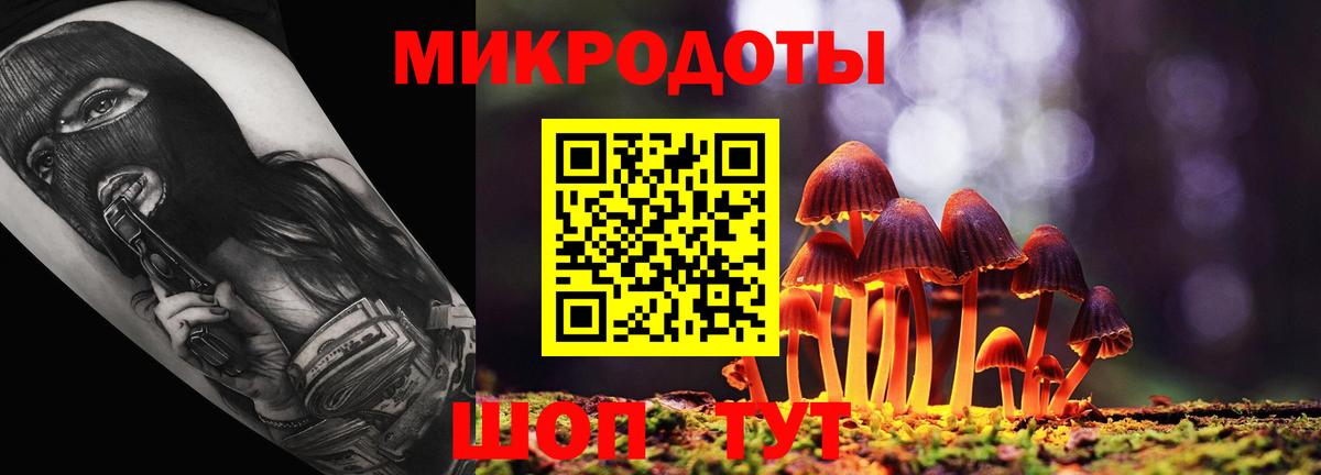 Галлюциногенные грибы Cubensis  Вход с VPN  Будённовск 